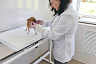Саратовские ветеринары спасли чихуахуа после укуса клеща